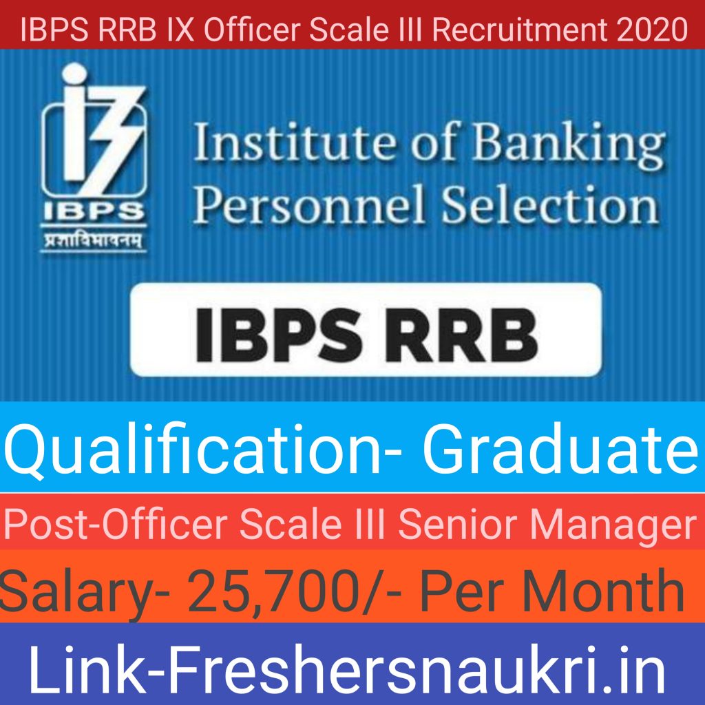 IBPS RRB IX Officer Scale III Recruitment 2020